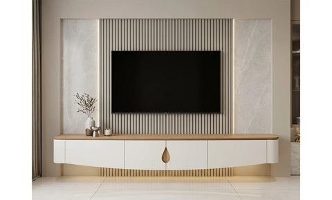 KL-717  tv unit